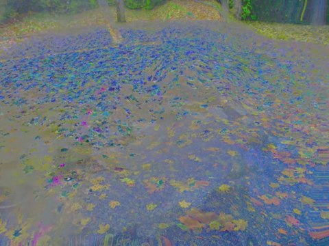 Photos numériques artistiques N°5 _ Diem Nancy