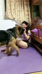 perfect shot with cute puppy_funny _smart dog _funny animals _funny_animal #short