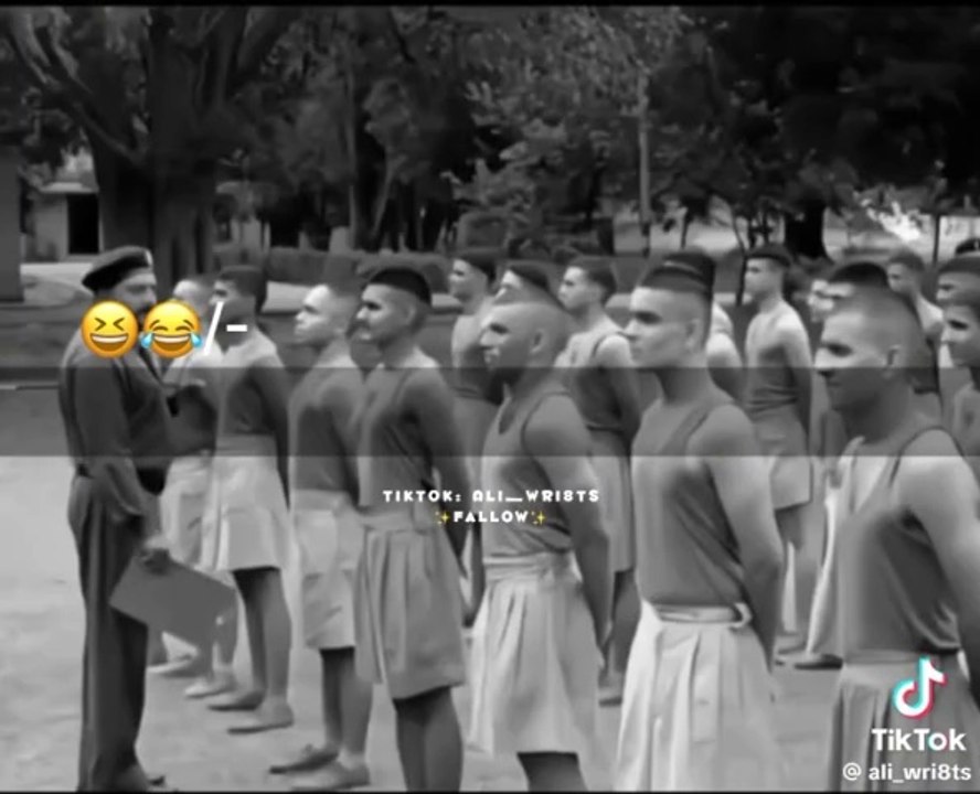 Funny videos