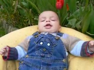 23 avril 2008 Isaac dans le jardin