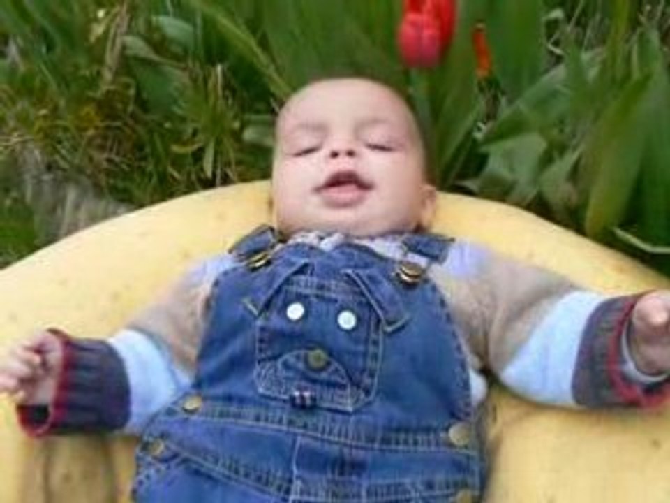 23 avril 2008 Isaac dans le jardin