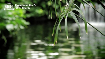 Experience the Flow of Ki Energy: A Unique Healing Program