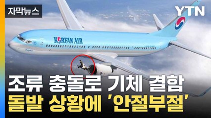 [자막뉴스] 새가 대한항공 비행기에 '쾅'...승객들 '발 동동' / YTN