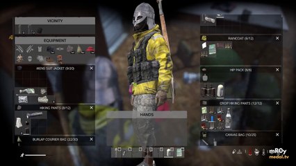 We Took Being Bandits in DayZ Too Far...