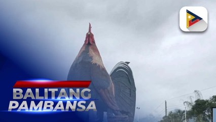 Gusali na hulmang manok sa Negros Occidental, kinilala ng Guinness World Record