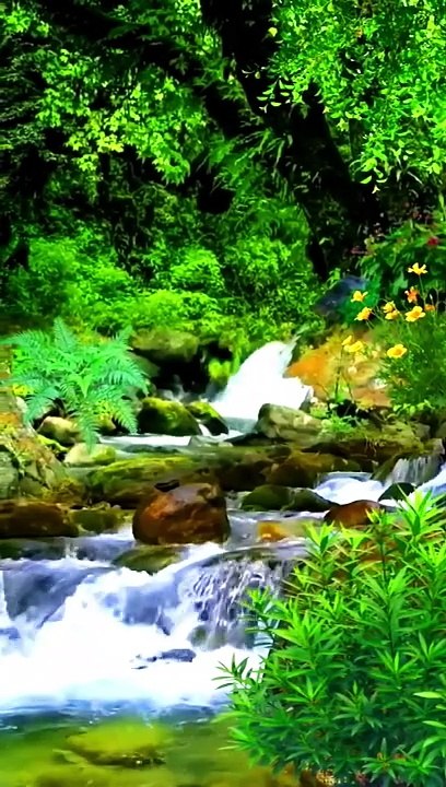 Beautiful Nurture