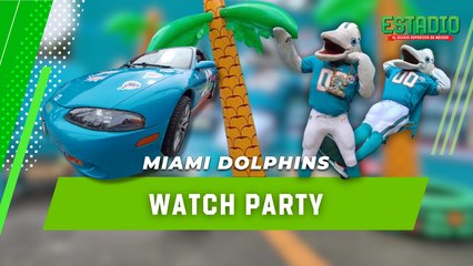 Fanáticos de los DOLPHINS viviendo la experiencia WATCH PARTY