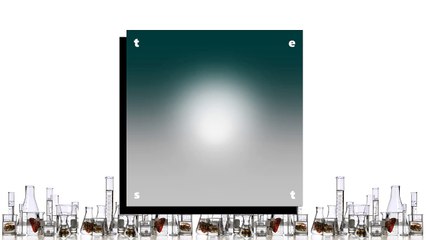 01 Borby Norton - t e s t (O N)