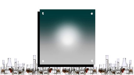 08 Borby Norton - bonux