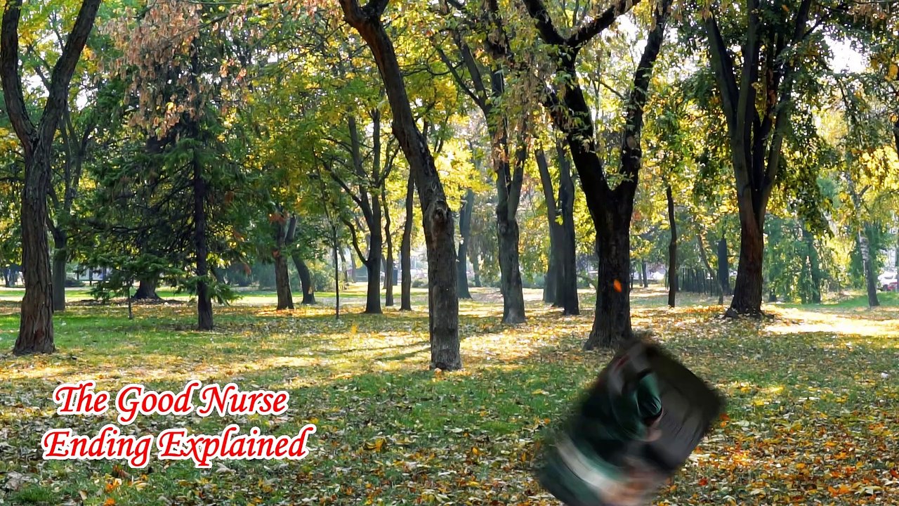 The Good Nurse Ending Explained