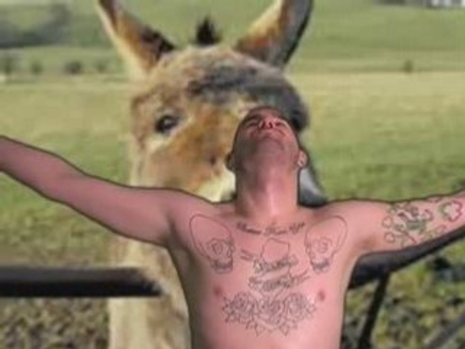 Pounders Profile - Danny Goodtimes