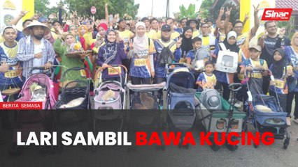 Lari sambil bawa kucing keliling sawah