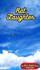 Animal Facts        Rat Laughter          #shorts