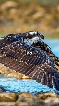 Sure! If you provide me with the main topic or content of your video along with relevant tags, I can help you create an engaging title. Please share the details!