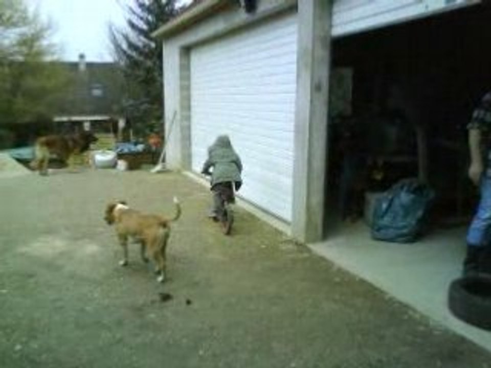 MOV00012