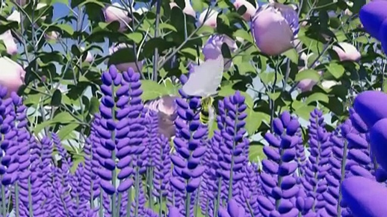 Videografik: bienensterben bedroht ganze Ökosysteme