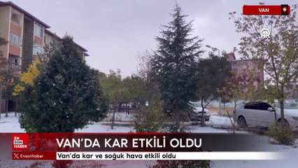 Van'da kar ve soğuk hava etkili oldu
