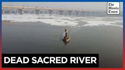 Expert declares India's sacred waterway 'dead’ as toxic foam engulfs its surface