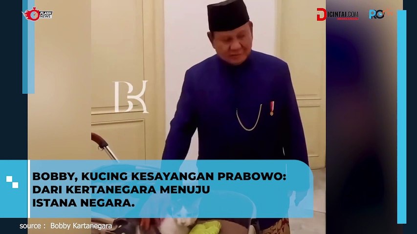 Bobby, Kucing Kesayangan Prabowo Siap Ikut Pindah ke Istana Negara