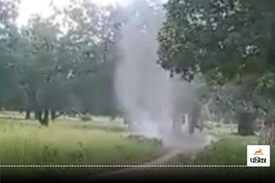 बीजापुर में नक्‍सलियों की बड़ी साजिश नाकाम