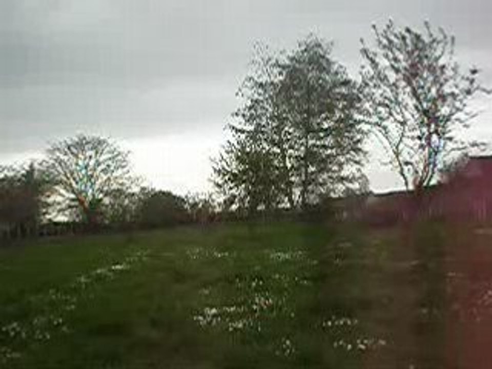 P4230123