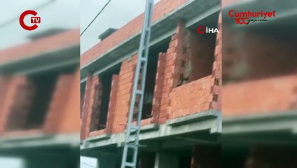 Arnavutköy’de kaçan keçiler binanın çatısına çıktı