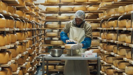 Menus-Plaisirs. Les Troisgros