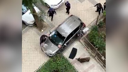 Un jabalí de 100 kilos provoca el pánico en Vallecas y termina siendo abatido