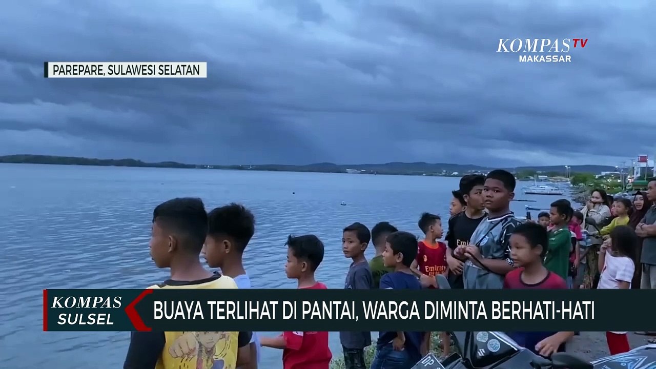 Buaya Terlihat di Pantai, Warga Diminta Berhati...