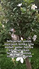motivasi diri