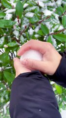 Chinese TikTok-DIY Magic: Create Something Amazing