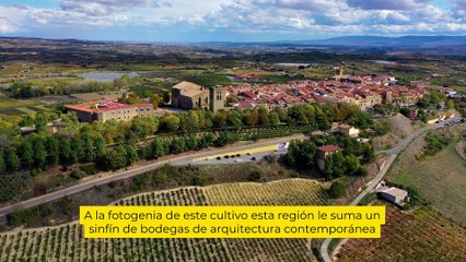 Los viñedos más bonitos de España