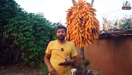 स्वर्ग से सुन्दर गांव – मिट्टी का 2 मंजिला घर _ Dk808