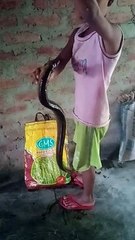 Eae Kiya he comet koro