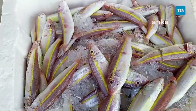 Ekonomik sıkıntılar derinleşiyor; vatandaş yarım balık talep ediyor