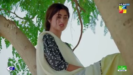 Zard Patton Ka Bunn - 2nd Last Ep 24