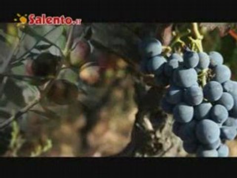 Salento: Vacanze nel Salento su Salento.it