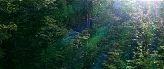 Wolf Man Bande-annonce VF