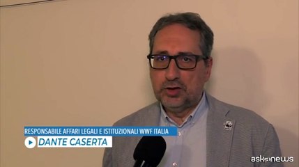 Caserta, WWF: "Packaging incide su questioni ambientali"