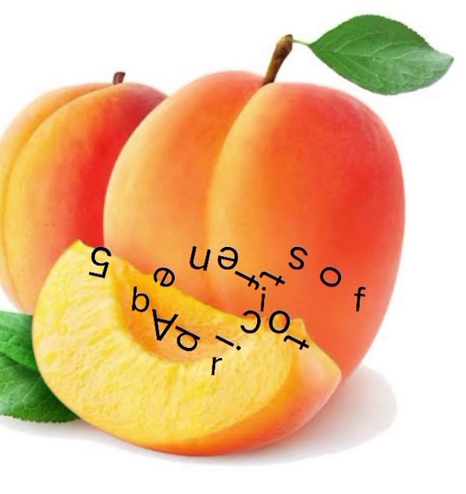 5 benefits of Apricot video Dailymotion