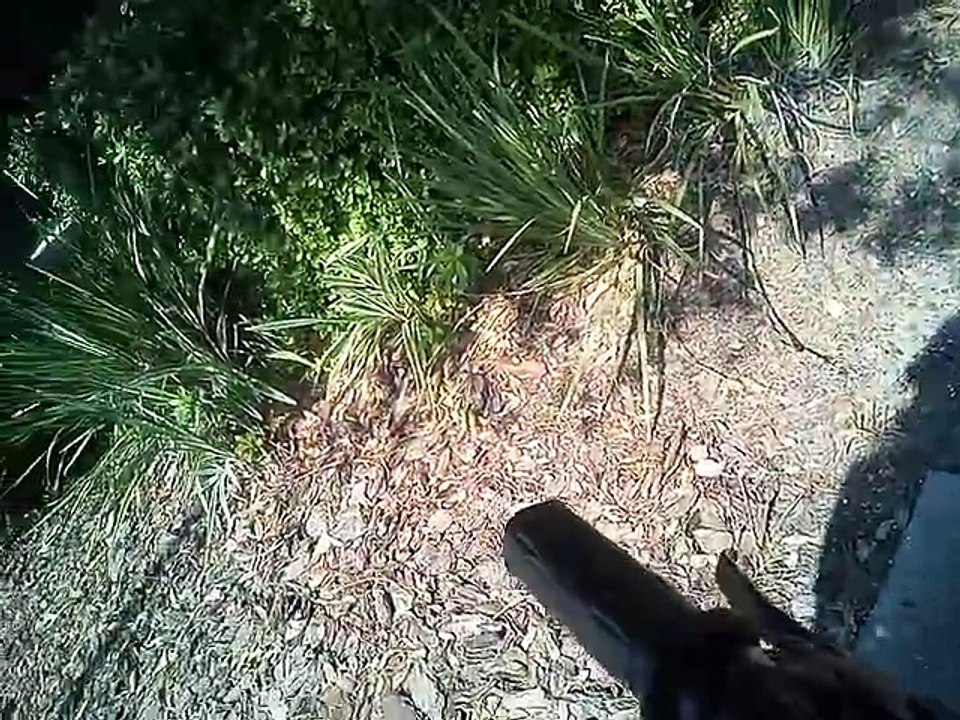 Your publishing house owner finds a desktop computer on eBike in Jacksonville Florida USA