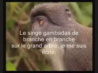 Donny Elwood, mon chien Dick