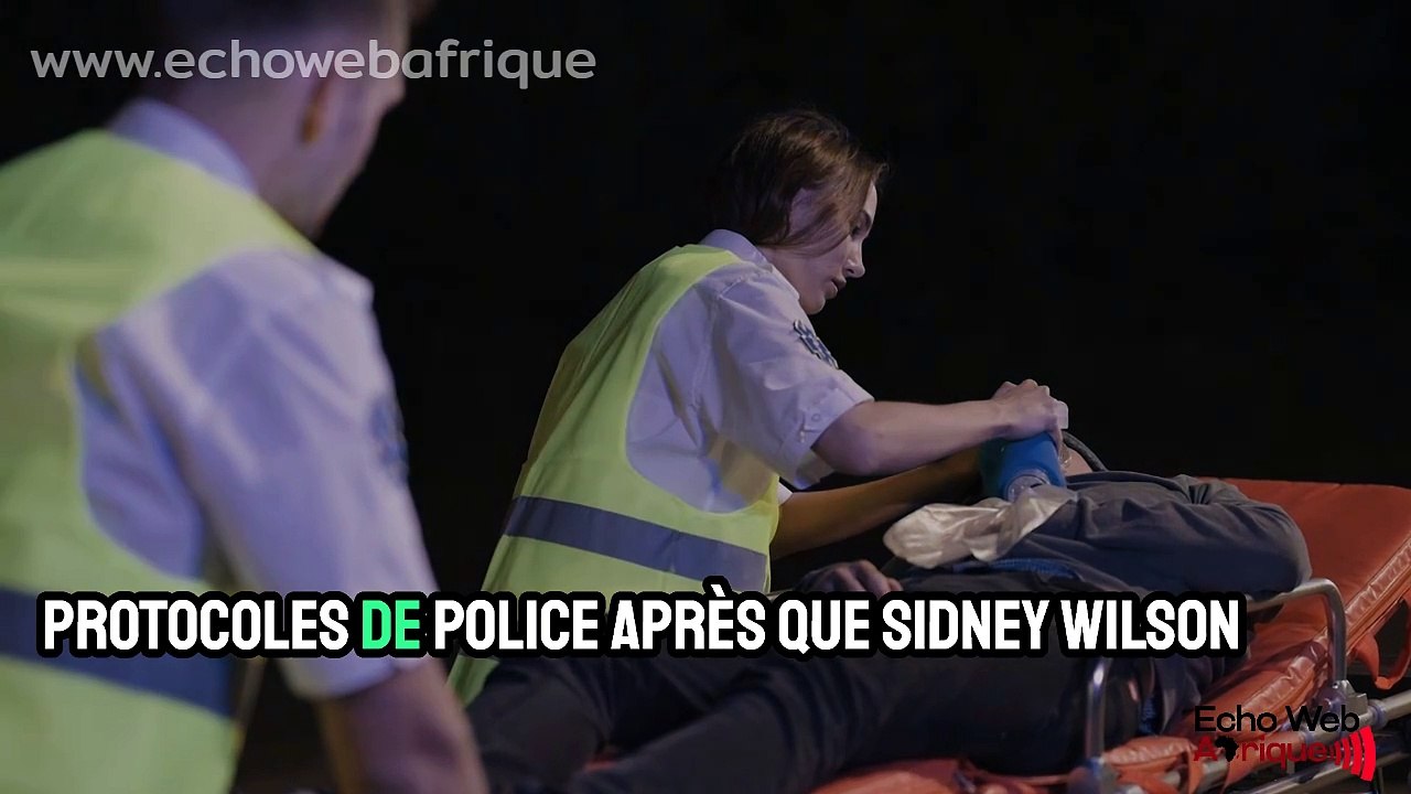 Basket : La star Sydney Wilson mortellement abattue par la police