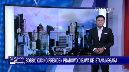 Momen Manis Presiden Prabowo Bermain dengan Kucingnya Si 'Bobby' Usai Pelantikan