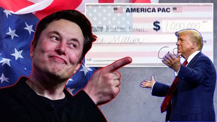 Elon Musk reparte un millón de dólares diario entre posibles votantes de Trump