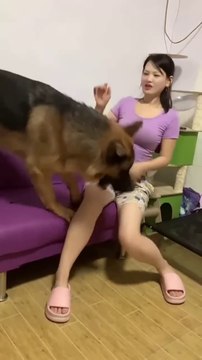 1st time trying to meet with me _funny _smart pet _funny pets _funny animals _funny_animal #shorts