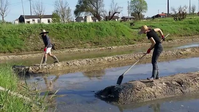 J’ai mis toute ma vie entre parenthèses pour toi : Rien ne va plus entre Valentin et Ilona dans L'Amour est dans le pré sur M6