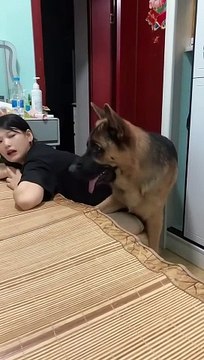 What actually doing _smart pet _funny dog daily motion shorts #shorts