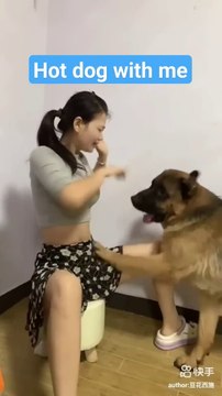 Daily motion shorts _funny _funny animals _funny_animal #shorts