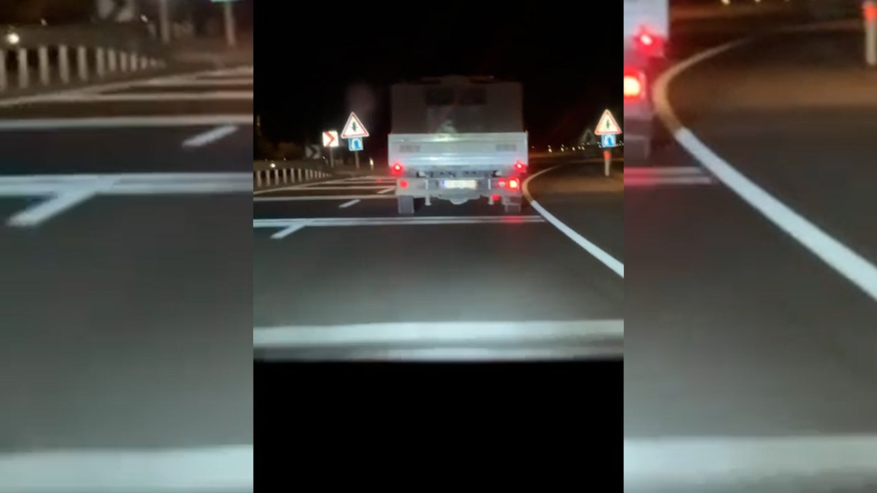 AKP’li Elazığ Belediyesi köpek katliamı mı yapacaktı?